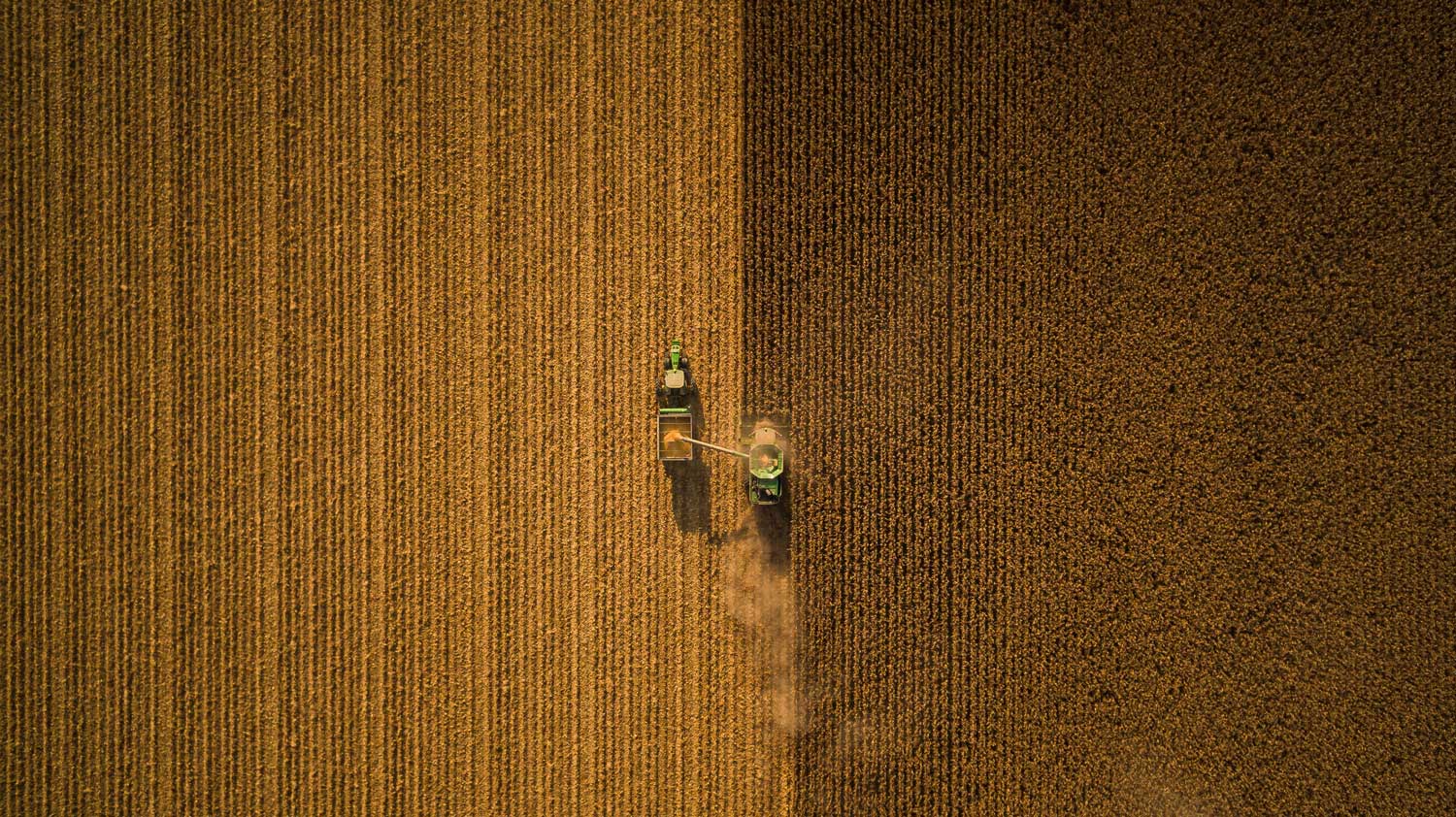 Properties Map Tiller Land